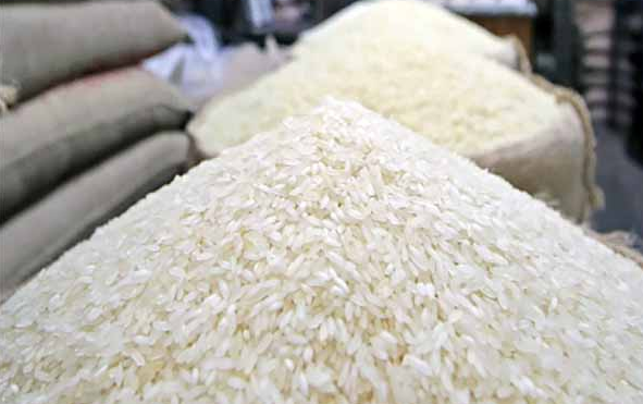 Imam Agro Farm : Katari Nazir Rice Project [1]