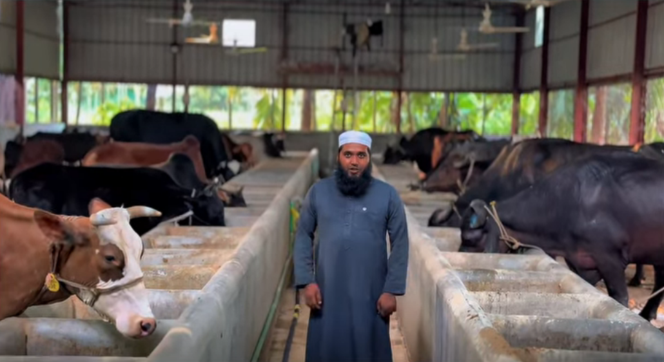 Shotomul Agro Farm : Qurbani Project [1]